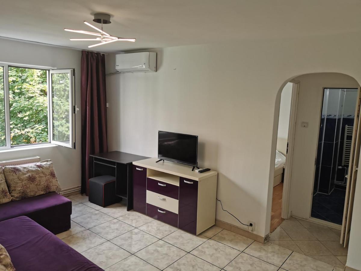 Confortable Cozy Apt Bucureşti Rom bilde